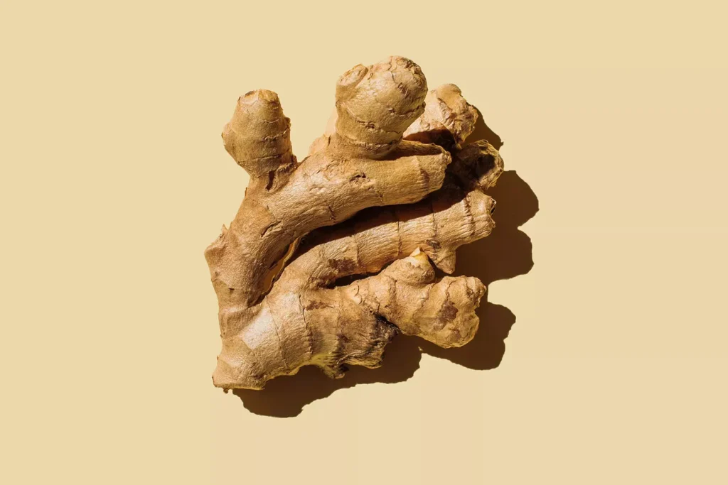 Fresh whole ginger root on yellow background